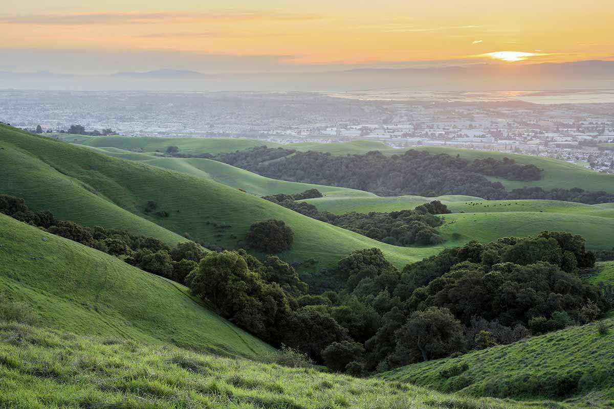 Tree covered slopes with silicon valley in the background